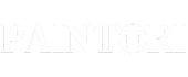 Paintori