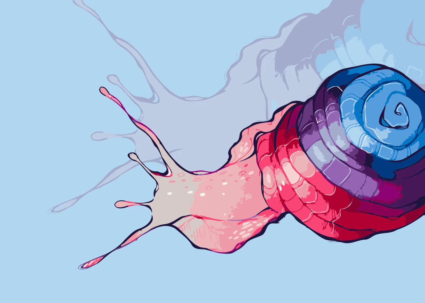 Shellsplash