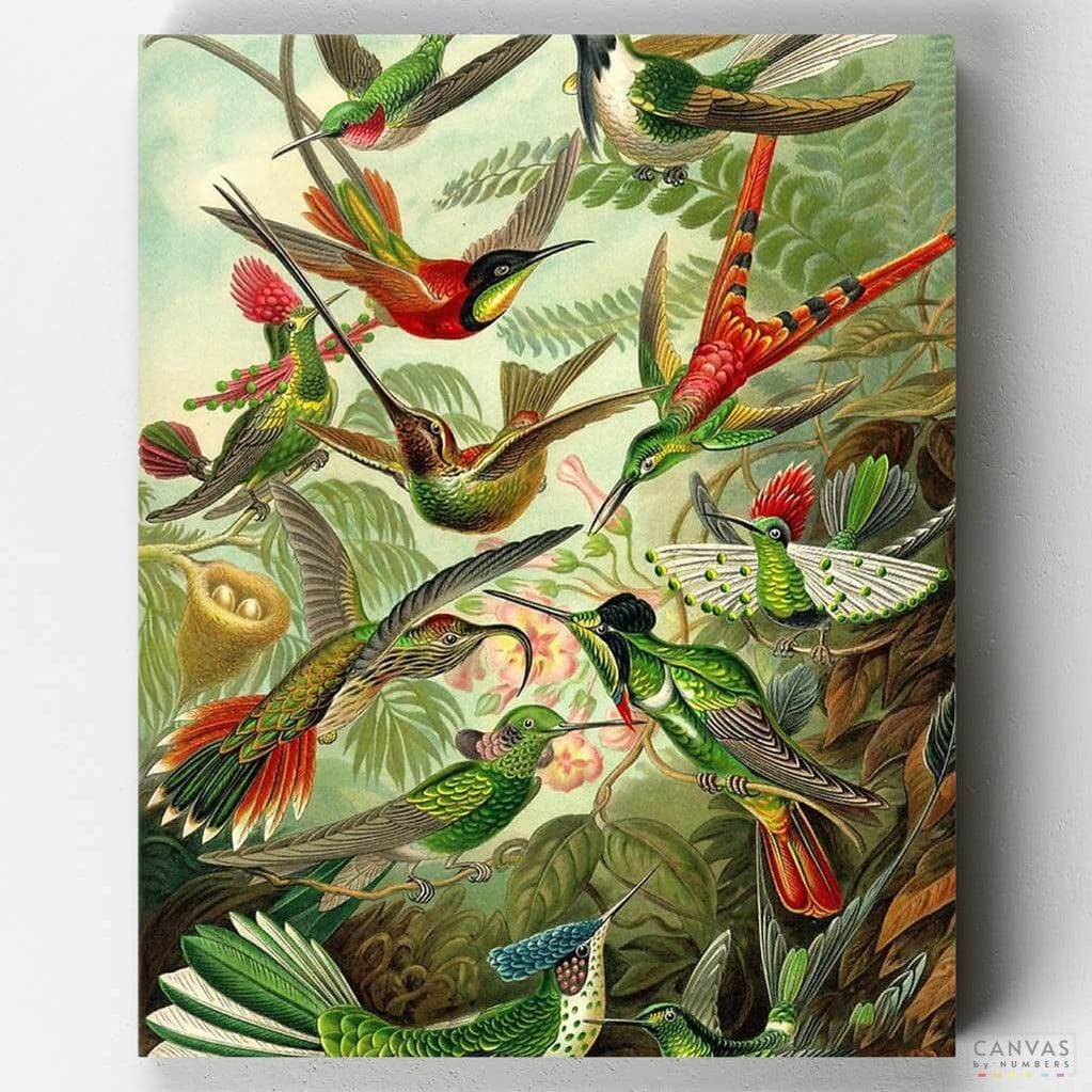 Trochilidae (Hummingbirds)